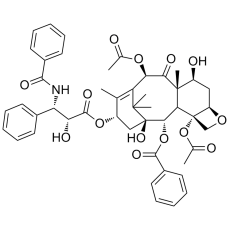 Paclitaxel Paclitaxel